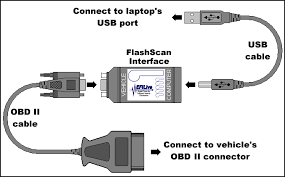 V1 Scan Cable - Black Bear Performance